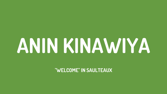 Saulteaux
